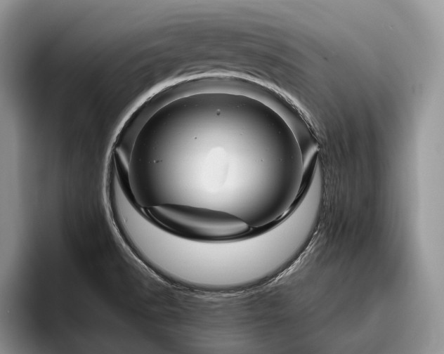 X0000096191518200801181310