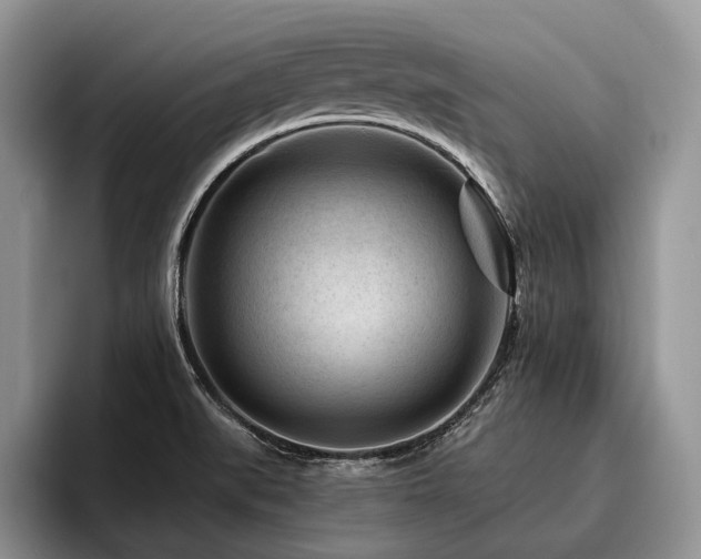 X0000096191519200801181310