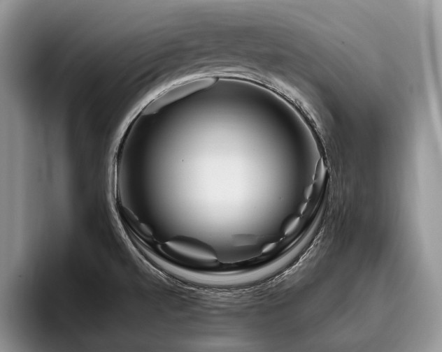 X0000096191520200801181310