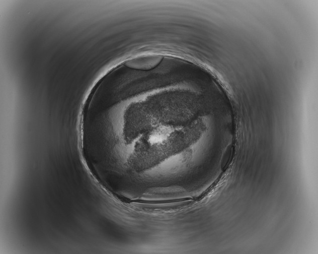 X0000096191522200801181310