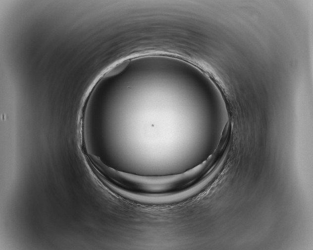 X0000096191524200801181310