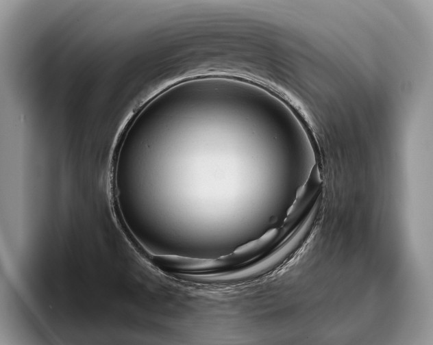 X0000096191525200801181310