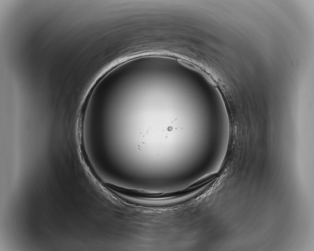 X0000096191526200801181310