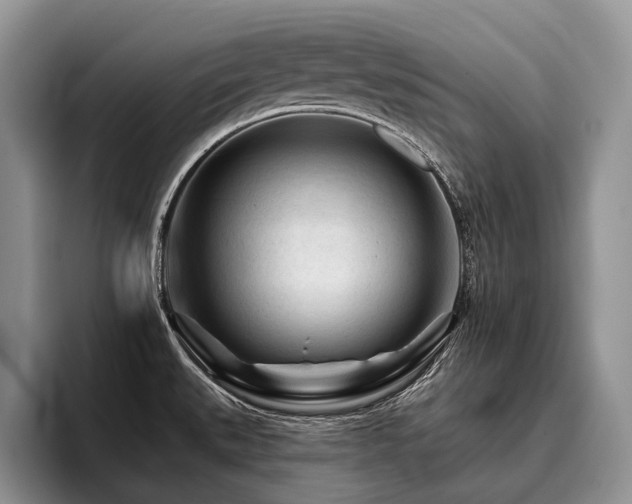 X0000096191527200801181310
