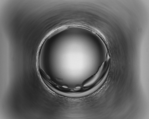 X0000096191528200801181310