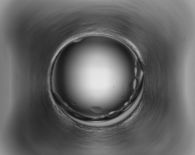 X0000096191530200801181310
