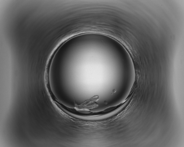 X0000096191531200801181311