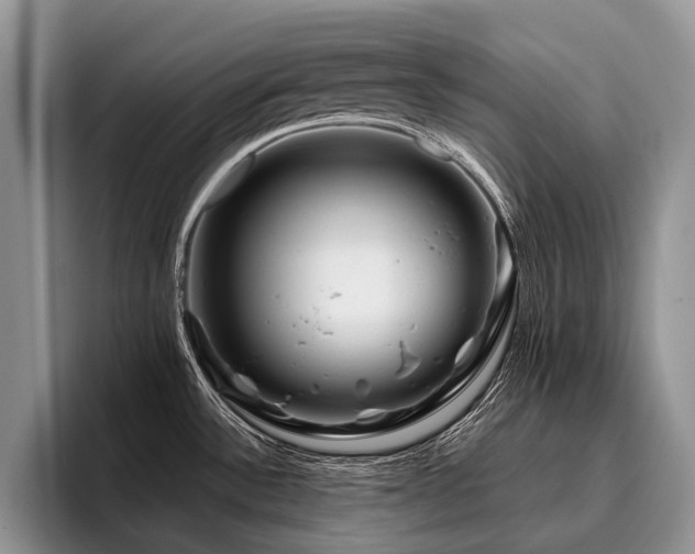 X0000096191532200801181311