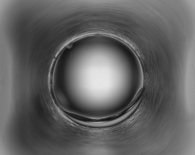 X0000096191535200801181311