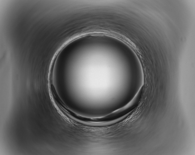 X0000096191536200801181311