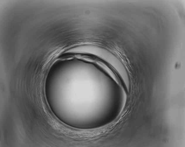 X0000096190001200801251251
