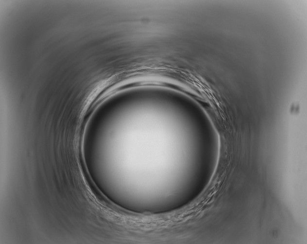 X0000096190003200801251251