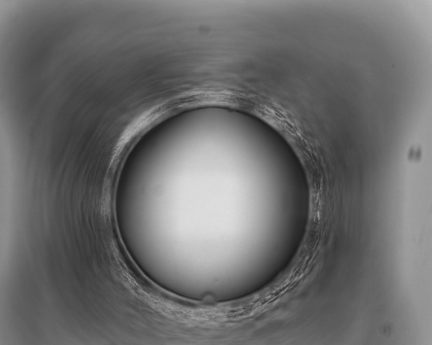 X0000096190004200801251251