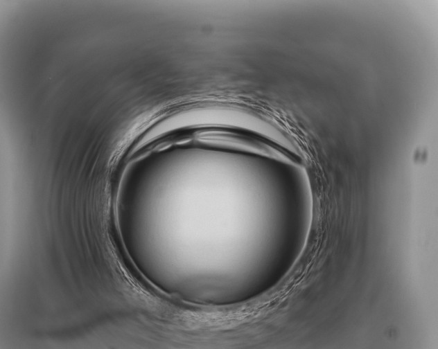 X0000096190005200801251251