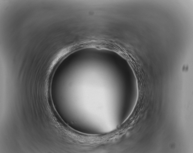 X0000096190006200801251251