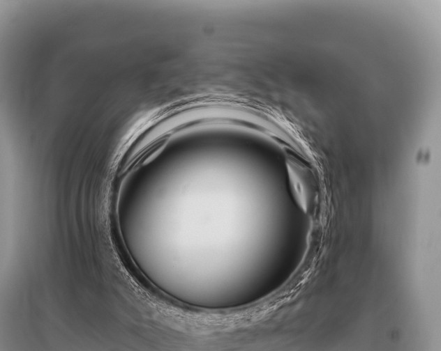 X0000096190007200801251251