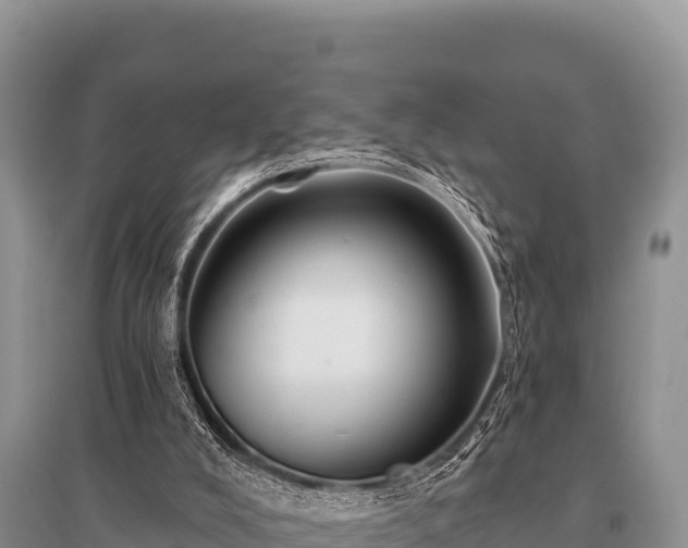 X0000096190008200801251251