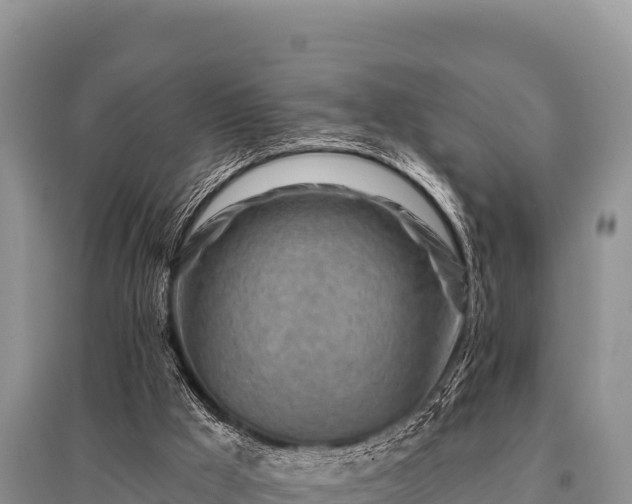 X0000096190009200801251251