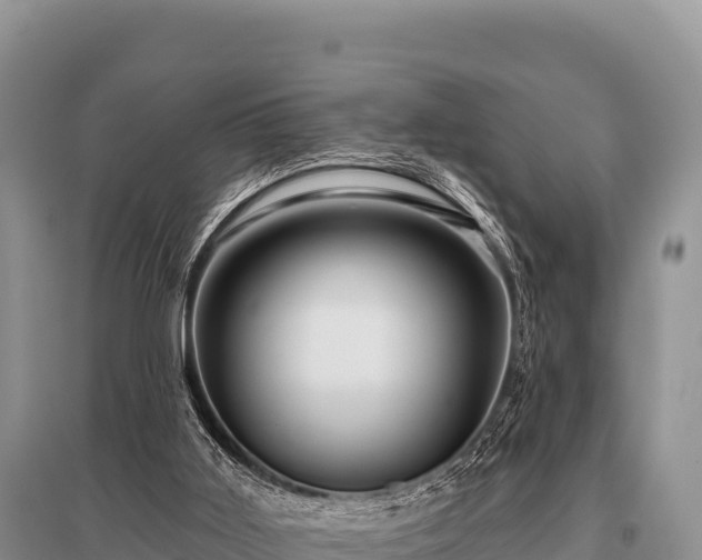X0000096190011200801251251