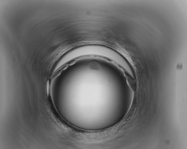 X0000096190013200801251251