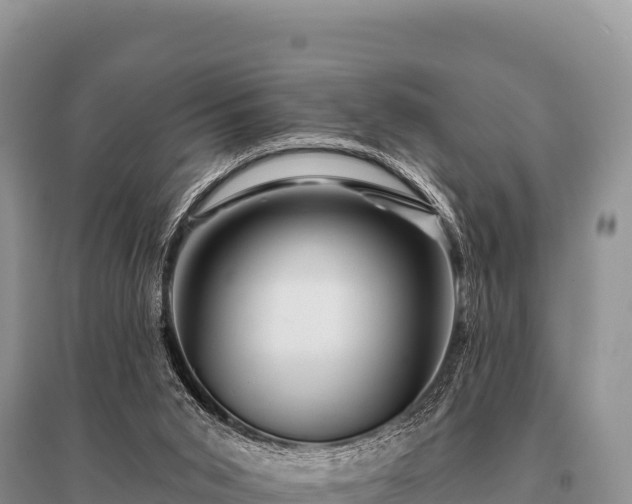 X0000096190015200801251251