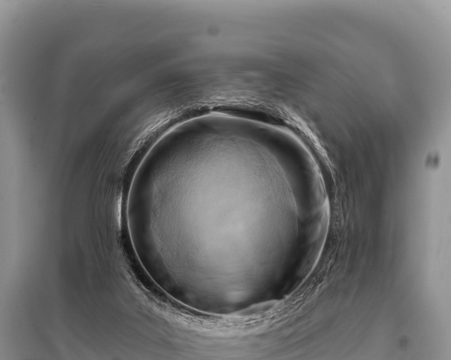 X0000096190019200801251251