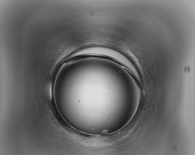 X0000096190020200801251251