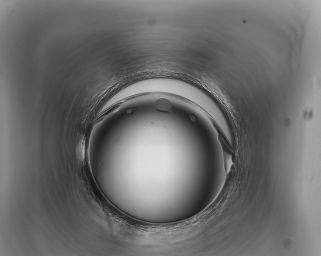 X0000096190021200801251251