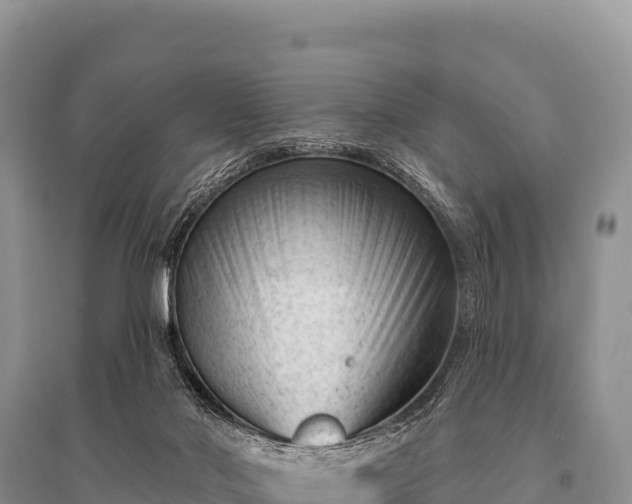 X0000096190022200801251251