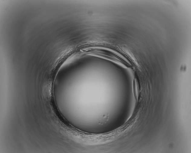 X0000096190023200801251251