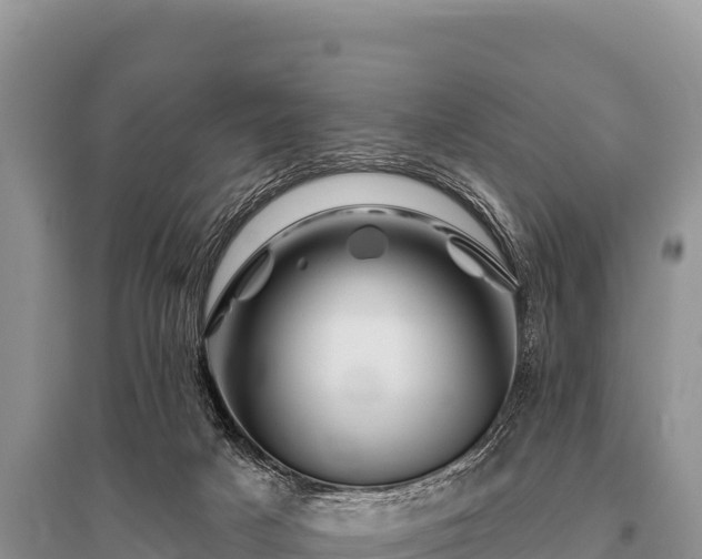 X0000096190025200801251251
