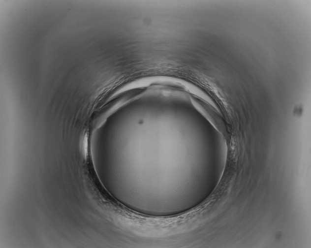 X0000096190027200801251251