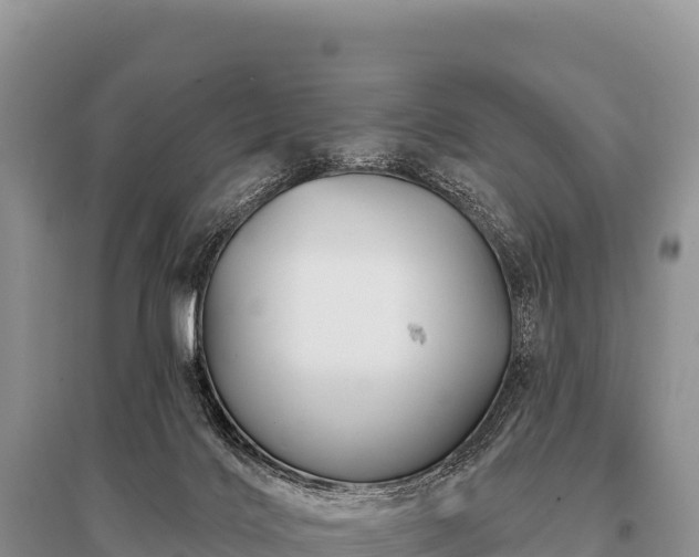 X0000096190028200801251251