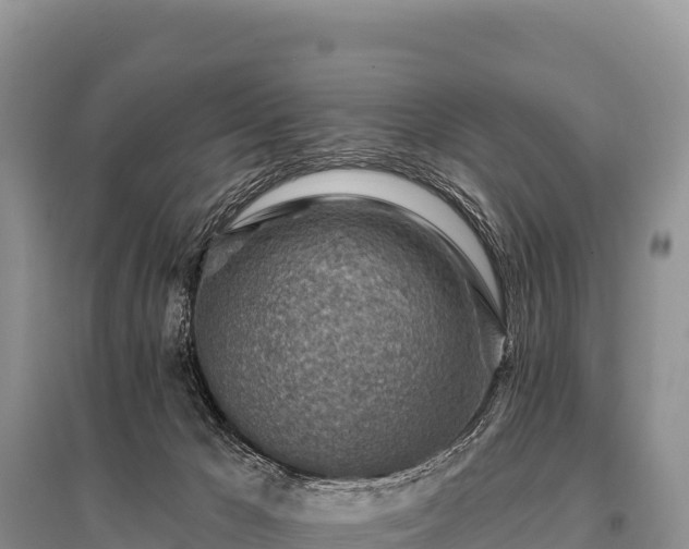 X0000096190029200801251251
