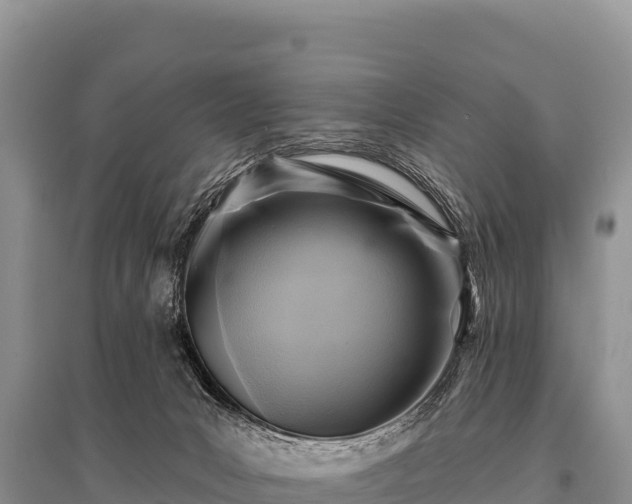 X0000096190031200801251251
