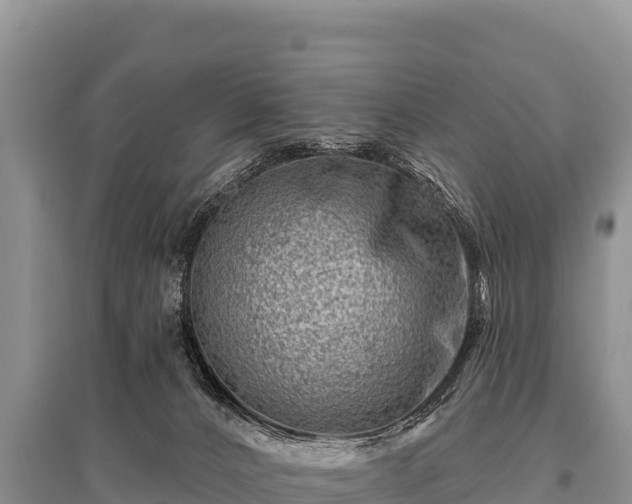 X0000096190032200801251251