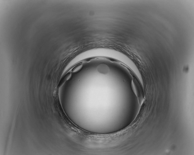 X0000096190033200801251251