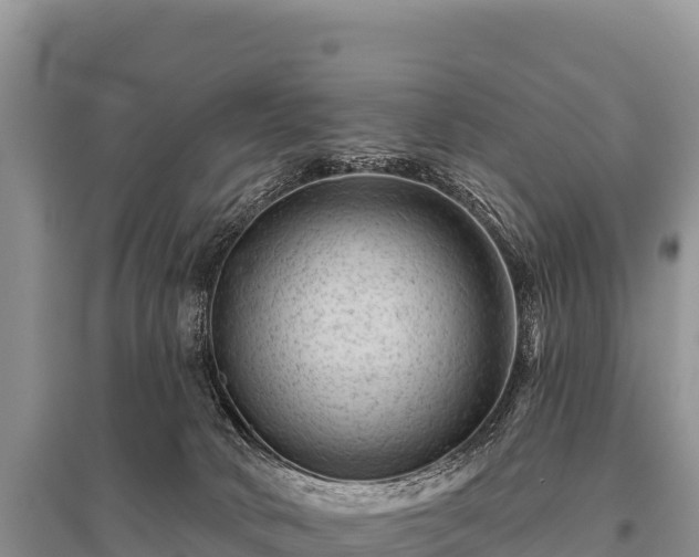 X0000096190034200801251251