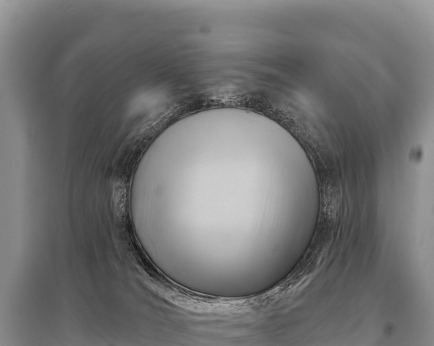X0000096190036200801251251