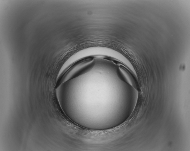 X0000096190037200801251251