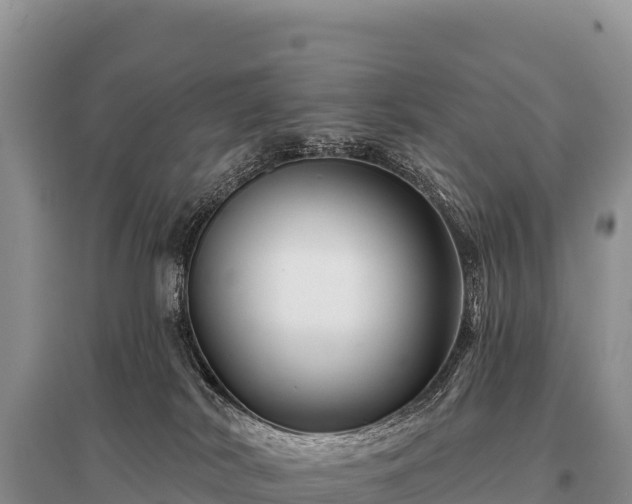 X0000096190038200801251251