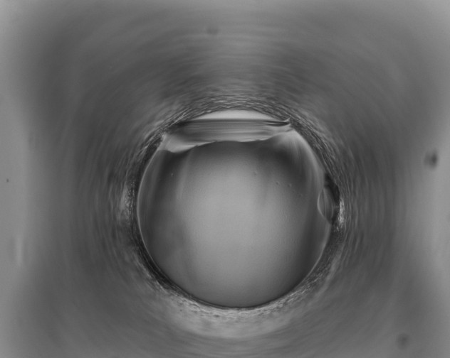 X0000096190039200801251251