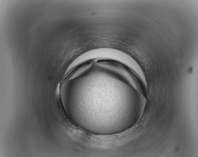 X0000096190041200801251251