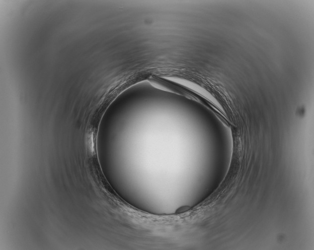 X0000096190042200801251251