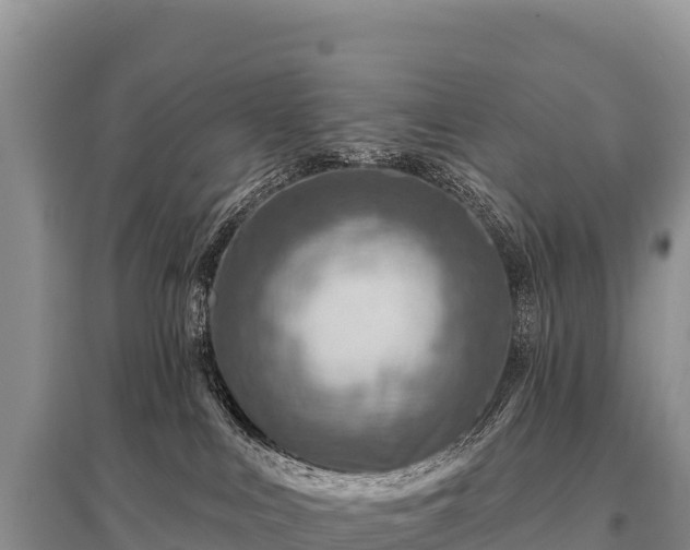 X0000096190043200801251251