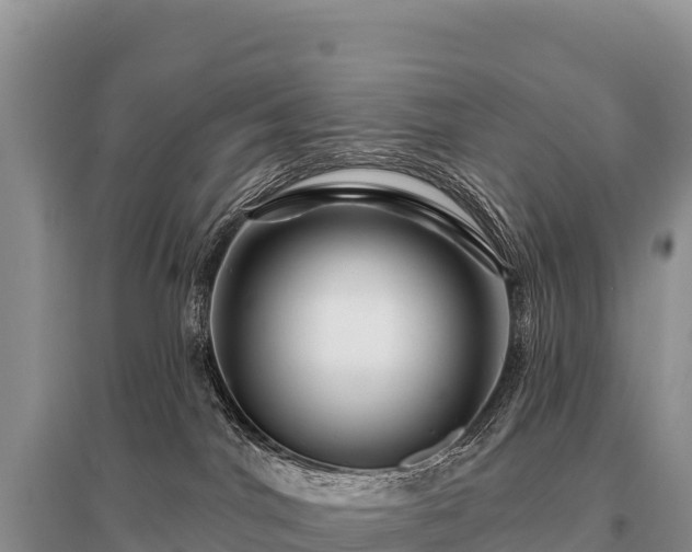 X0000096190044200801251251