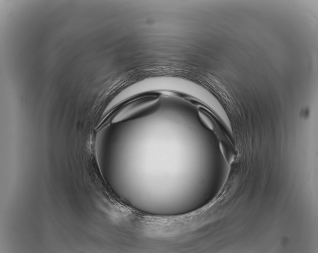 X0000096190045200801251251
