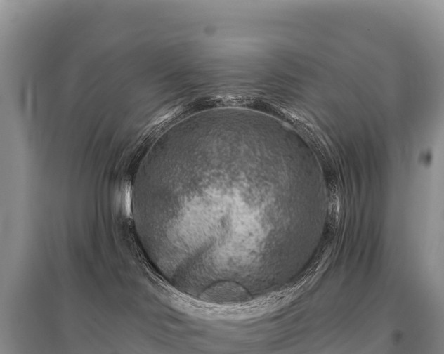 X0000096190046200801251251