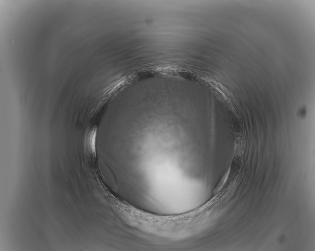 X0000096190047200801251251