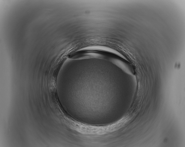 X0000096190048200801251251